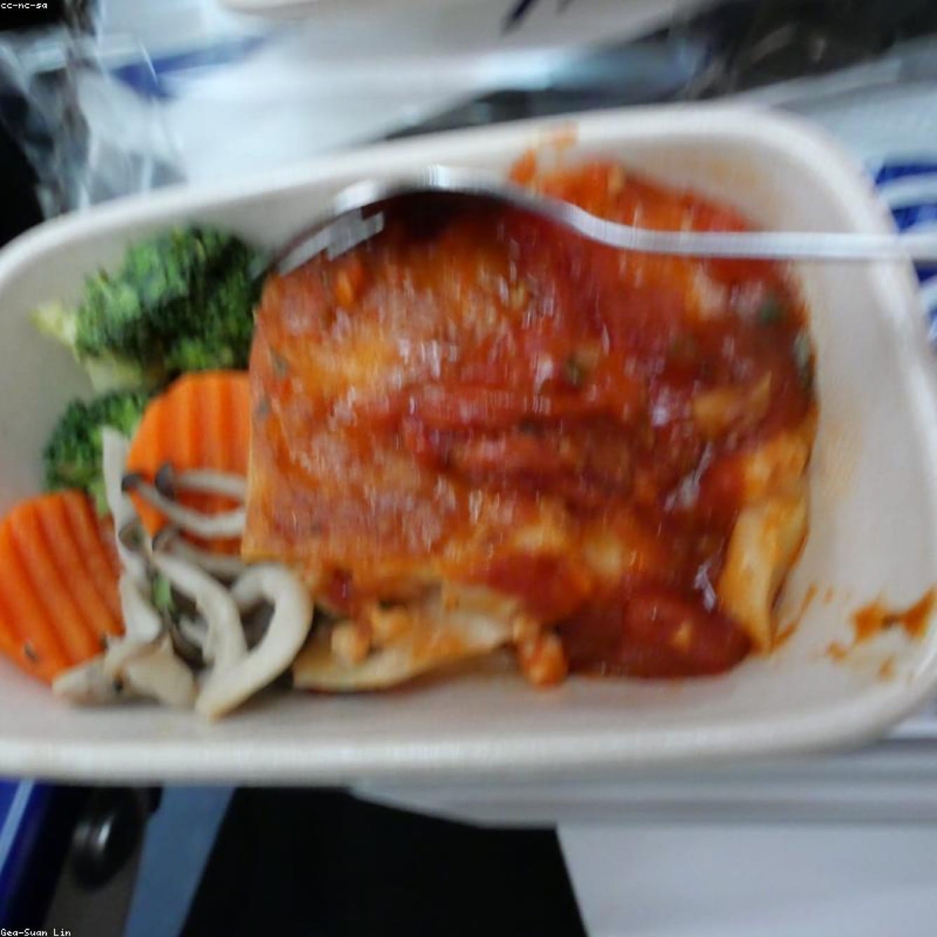 Transit Hub and Travel Plaza Vendors using disposable tableware